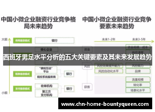 西班牙男足水平分析的五大关键要素及其未来发展趋势