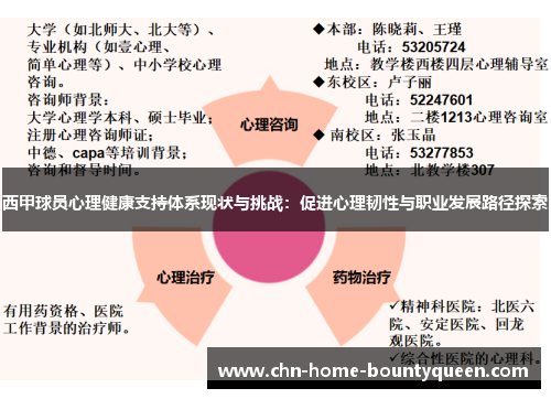西甲球员心理健康支持体系现状与挑战：促进心理韧性与职业发展路径探索