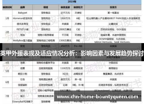 英甲外援表现及适应情况分析：影响因素与发展趋势探讨