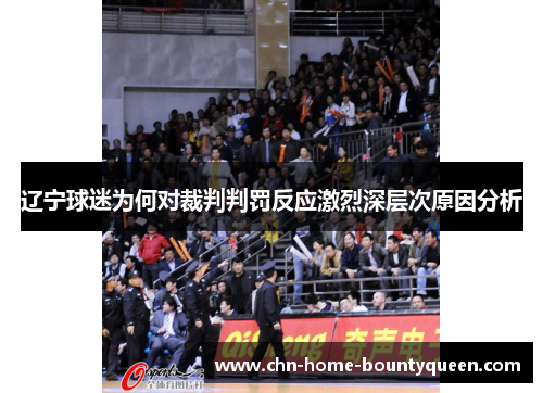 辽宁球迷为何对裁判判罚反应激烈深层次原因分析