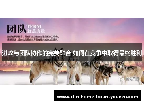 进攻与团队协作的完美融合 如何在竞争中取得最终胜利 进攻与团队协作的完美融合 如何在竞争中取得最终胜利