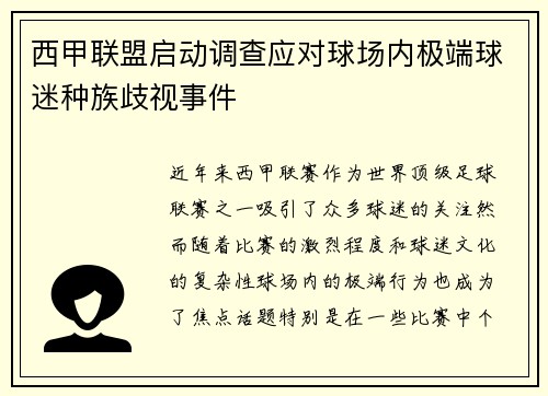 西甲联盟启动调查应对球场内极端球迷种族歧视事件