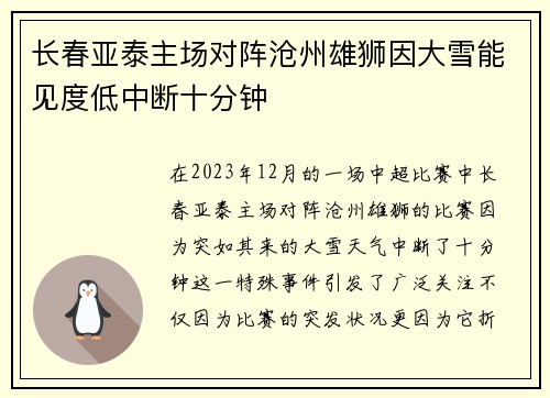 长春亚泰主场对阵沧州雄狮因大雪能见度低中断十分钟